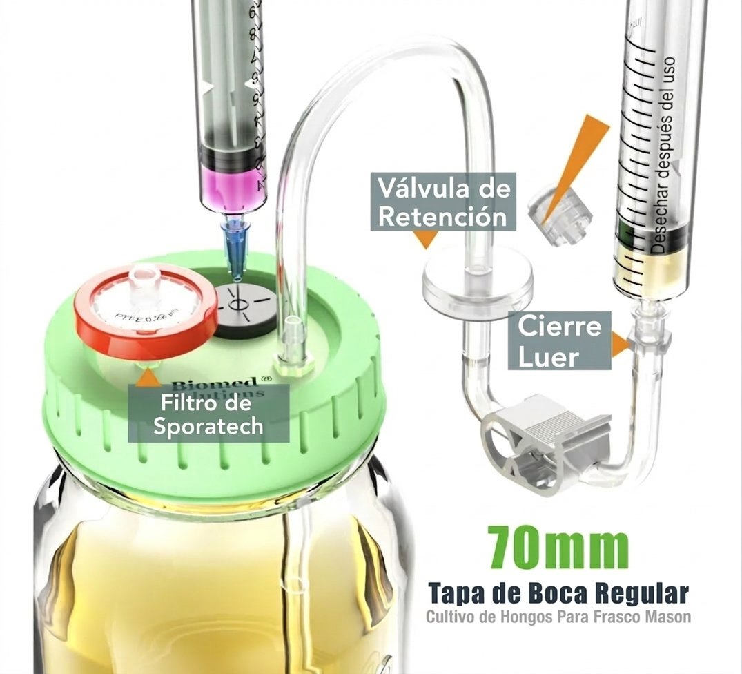 Diagrama de tapa para Mason jar mostrando filtro de SporaTech 0.22 μm, válvula de retención unidireccional, cierre Luer lock y puerto de inyección - sistema profesional para cultivo líquido de hongos shiitake y ostras - tapa 70mm boca regular - SporaTech